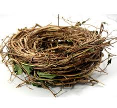 nest